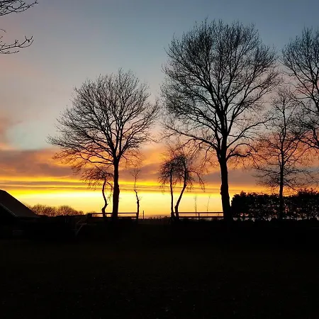 Ferienhaus Albers Oberlangen Eksteriør billede